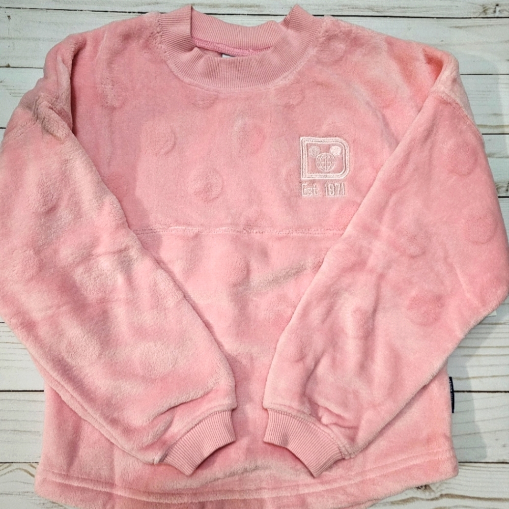 Walt Disney World Kids Spirit Jersey